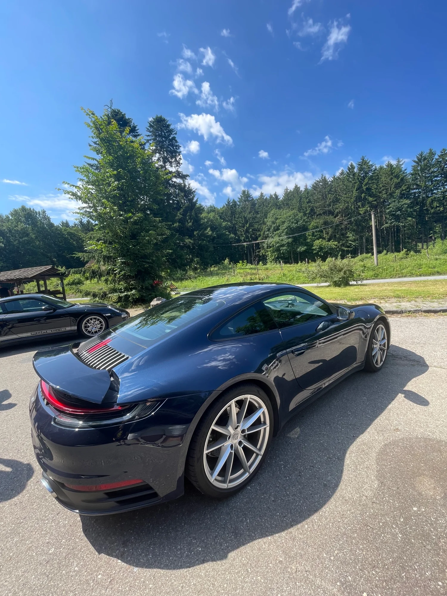 Black Porsche 911 in Scenic Forest Setting - porsche, 911, coupe, black, metallic-black