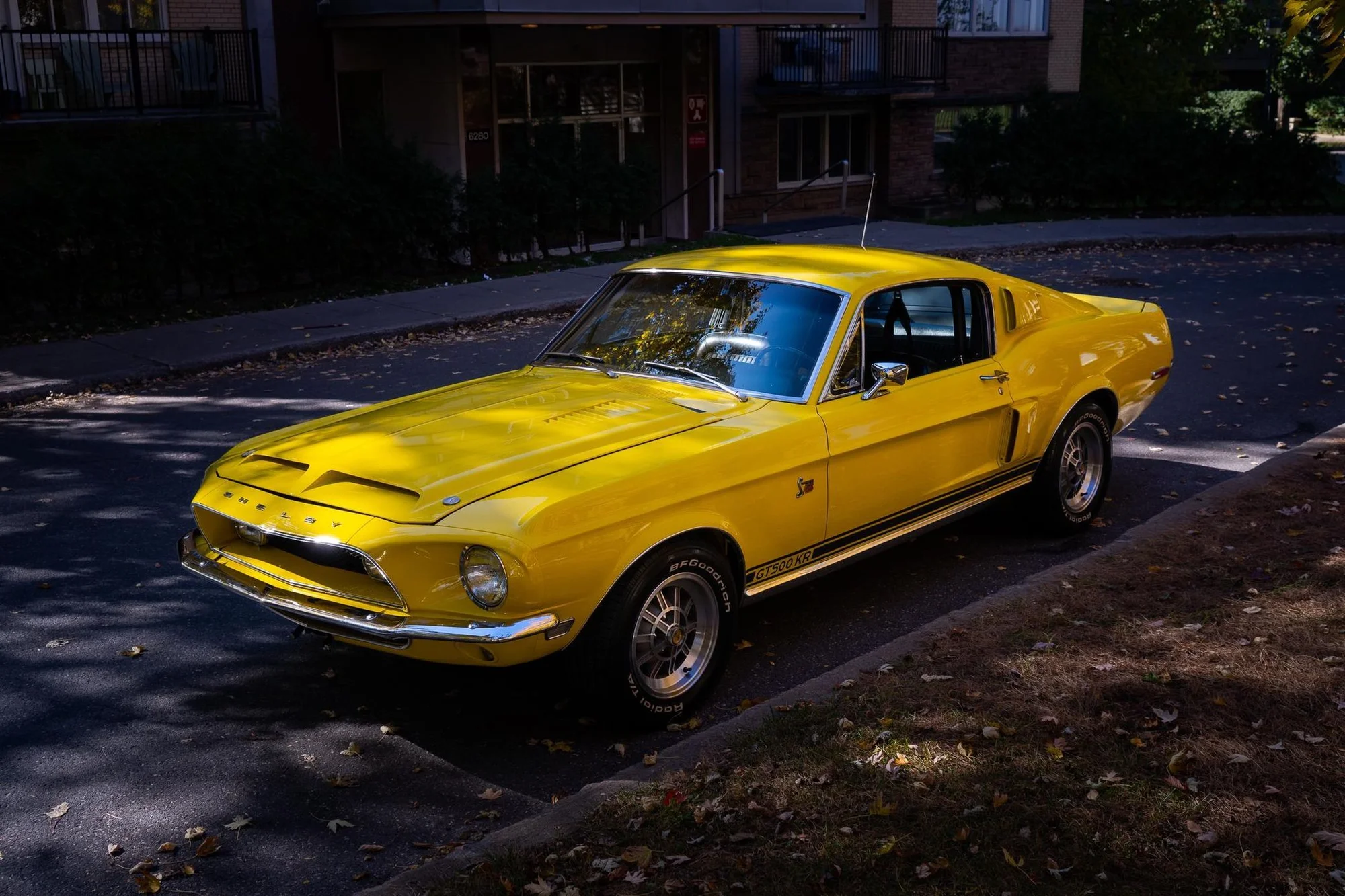 Stunning Yellow Ford Mustang Shelby GT500 - ford, mustang, shelby, gt500, 1968