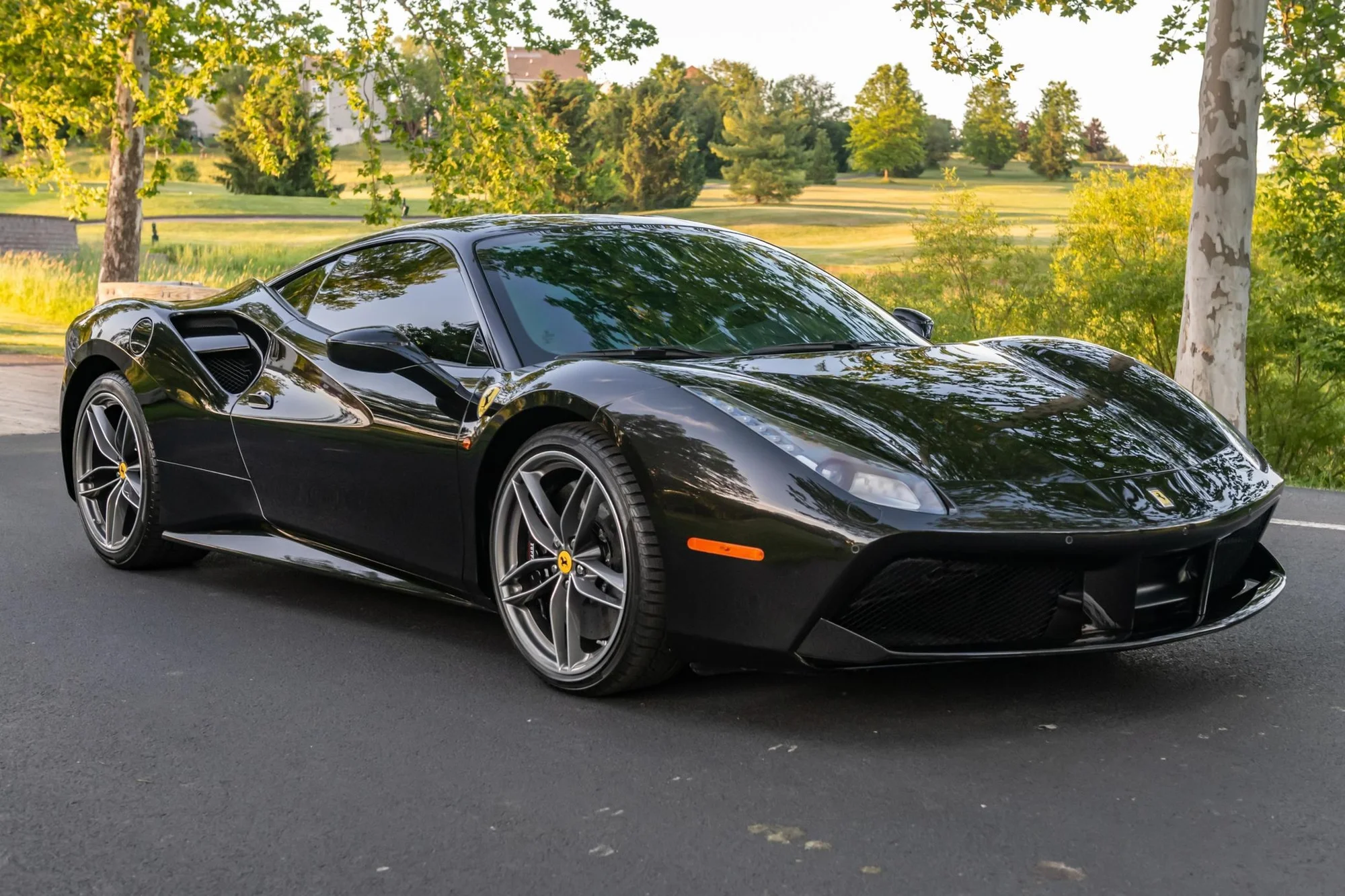 Black Ferrari 488 in Rural Countryside - ferrari, 488, f8, supercar, mid-engine