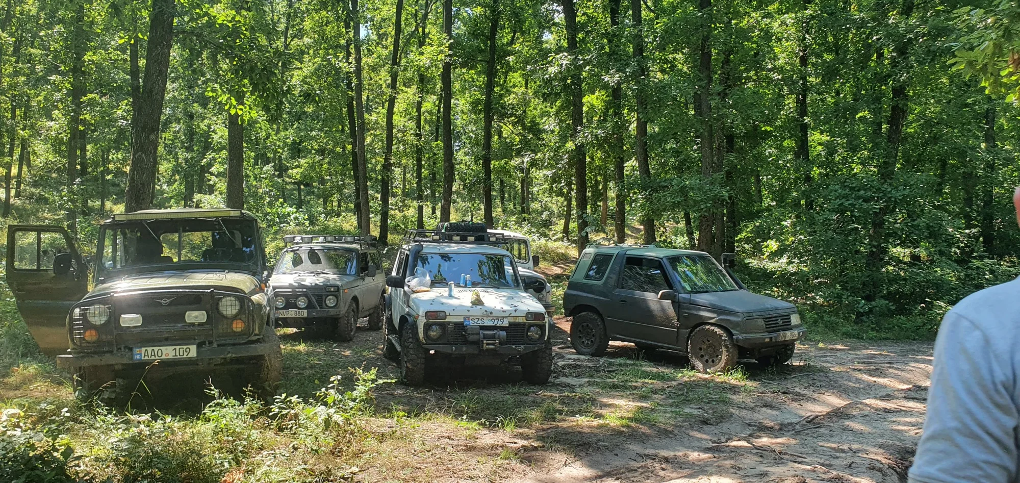 Off-Road Adventure Fleet in the Forest - lada, niva, suv, off-road, 4x4, offroad, adventure