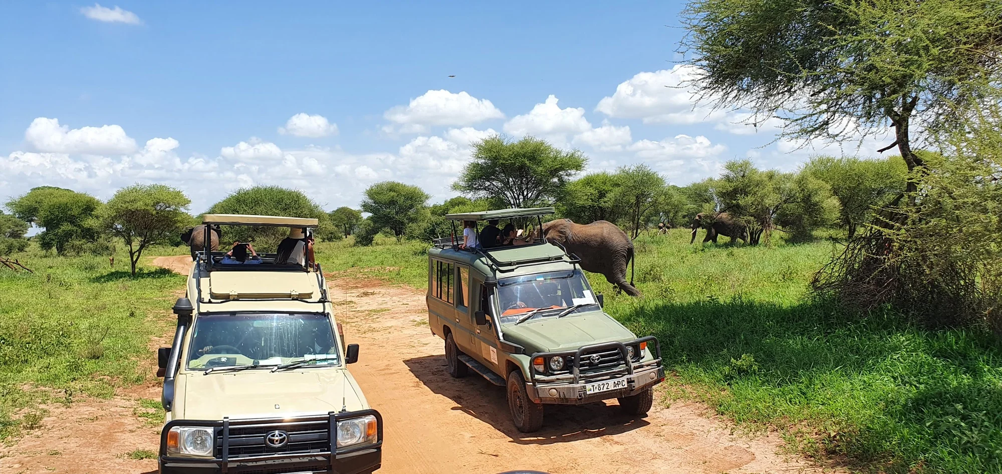 Safari Adventure with Toyota Land Cruisers - toyota, land-cruiser, suv, safari-vehicle, open-top, safari